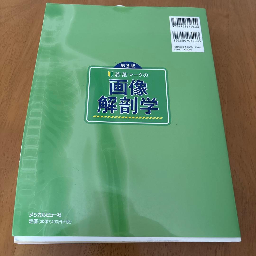 若葉マークの画像解剖学