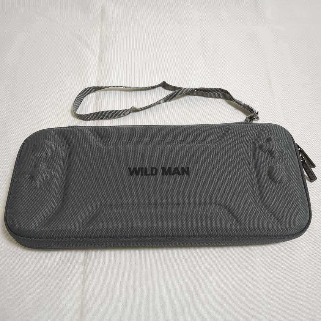 Nintendo Switch 本体 Joy-Conグレー 箱 付属品 ケース付
