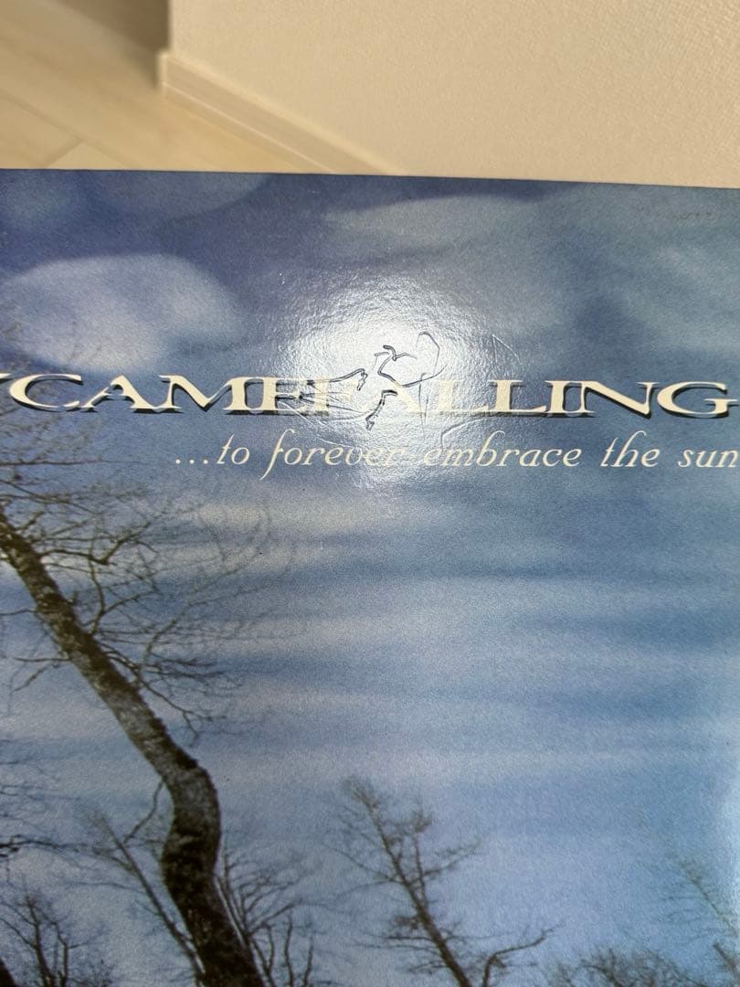 Skycamefalling 廃盤