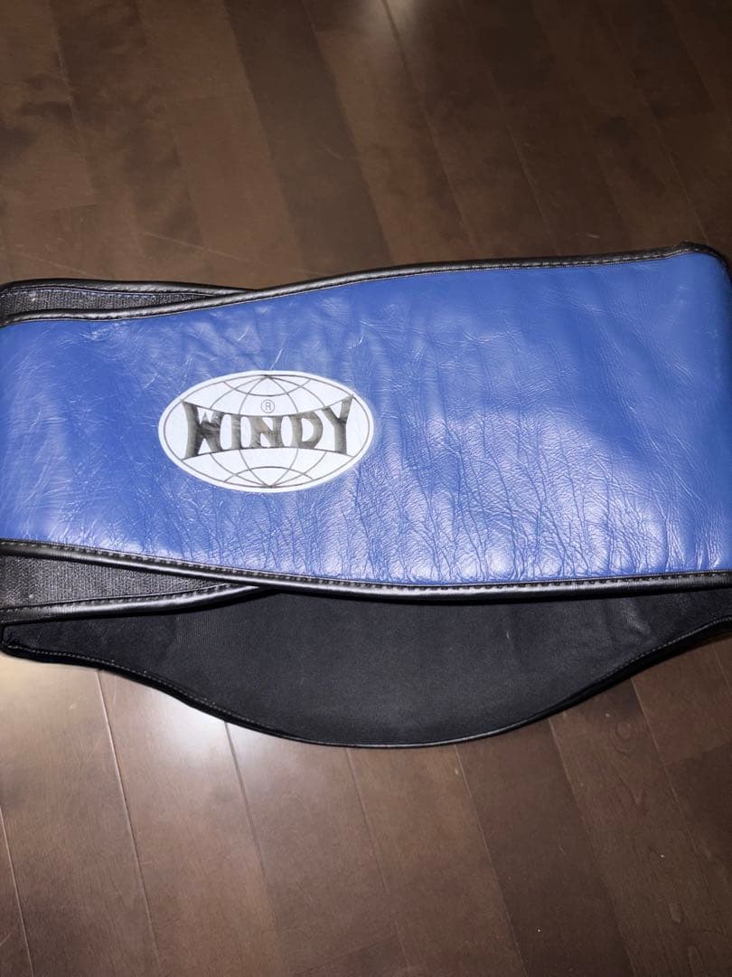 WINDY キックミット 青 ボディープロテクター