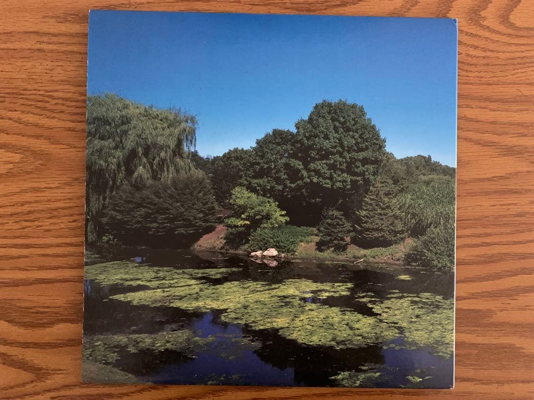 SHELLAC Terraform LP シェラック Steve Albini