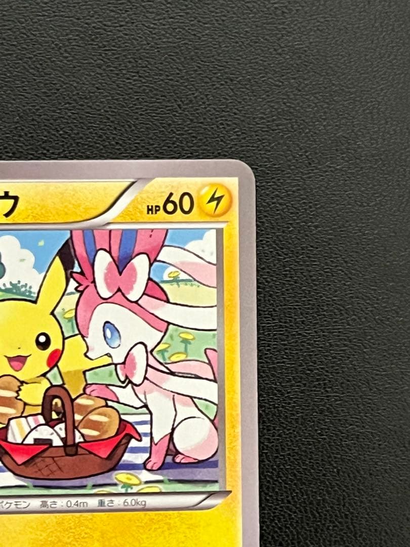 ピカチュウ いっしょにたべよ