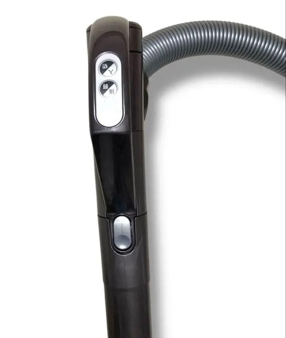 動作品 美品 ダイソン Dyson ball DC48 クリーナー 掃除 青