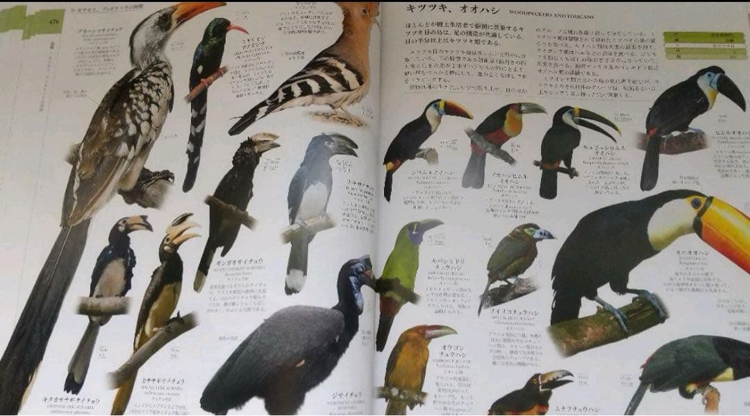 地球博物学大図鑑　スミソニアン