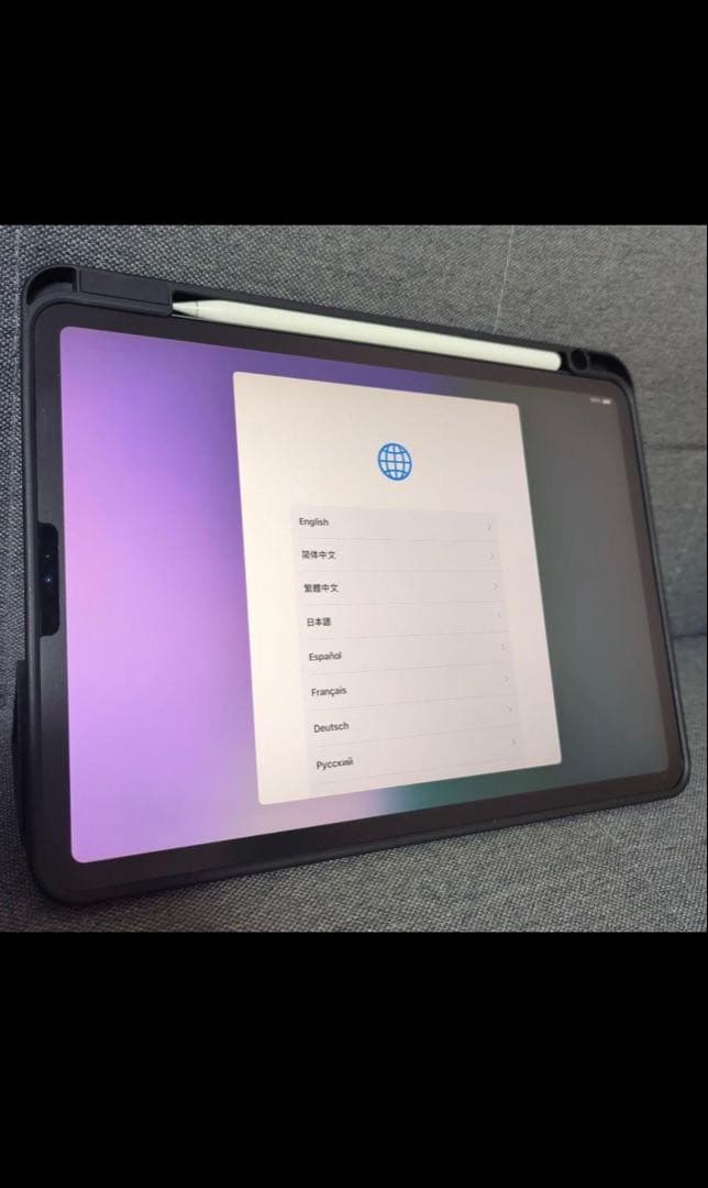 iPad Pro 11インチ 第1世代2018 - 256GB（スペースグレイ）