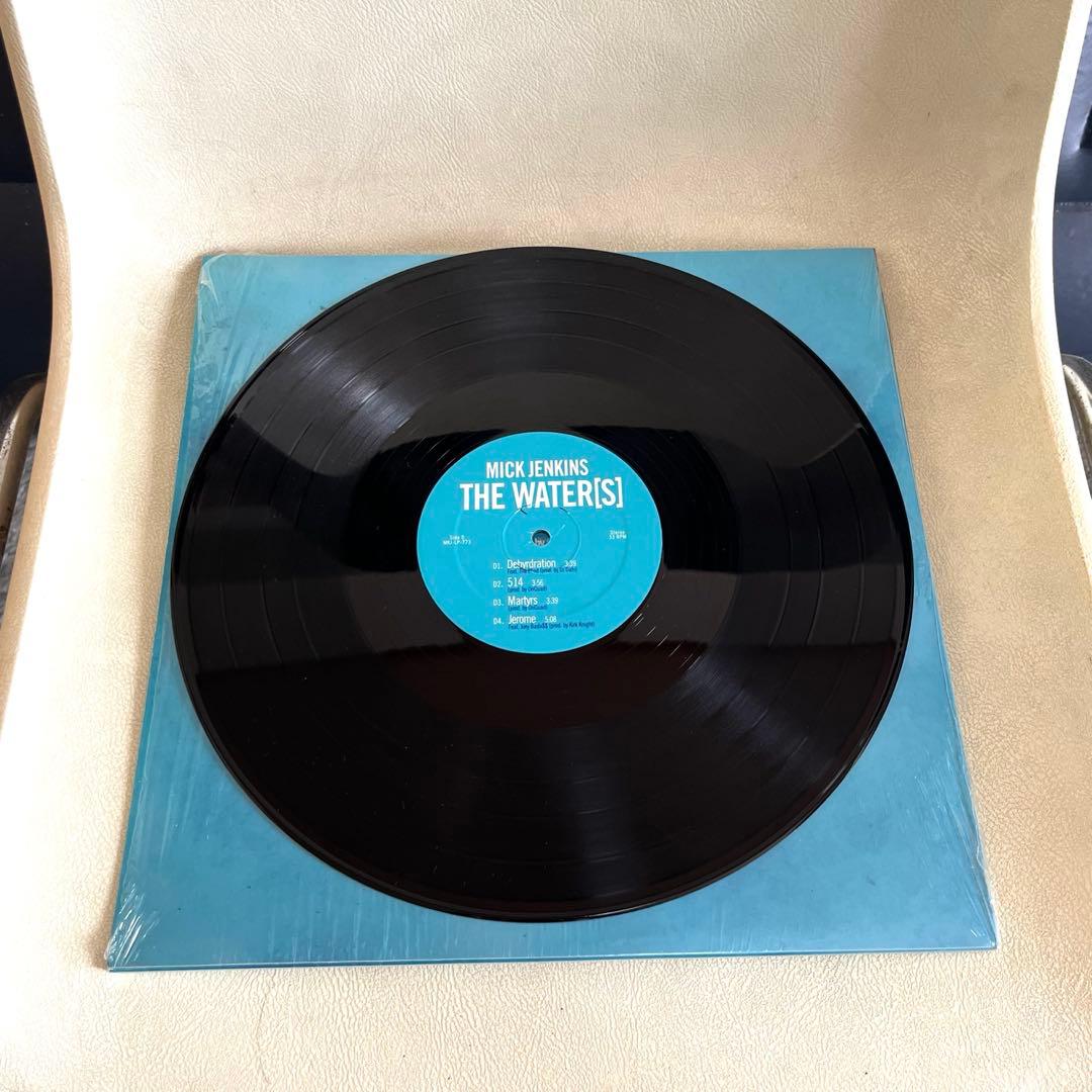 Mick Jenkins - The Water[s] 2LP レコード