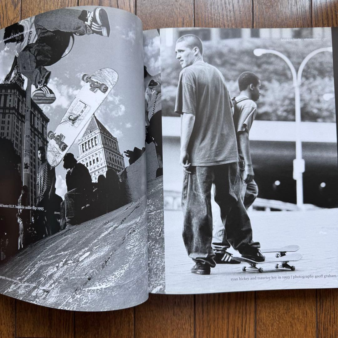Lance Mountain SkateBook III 3 シンプソンズ