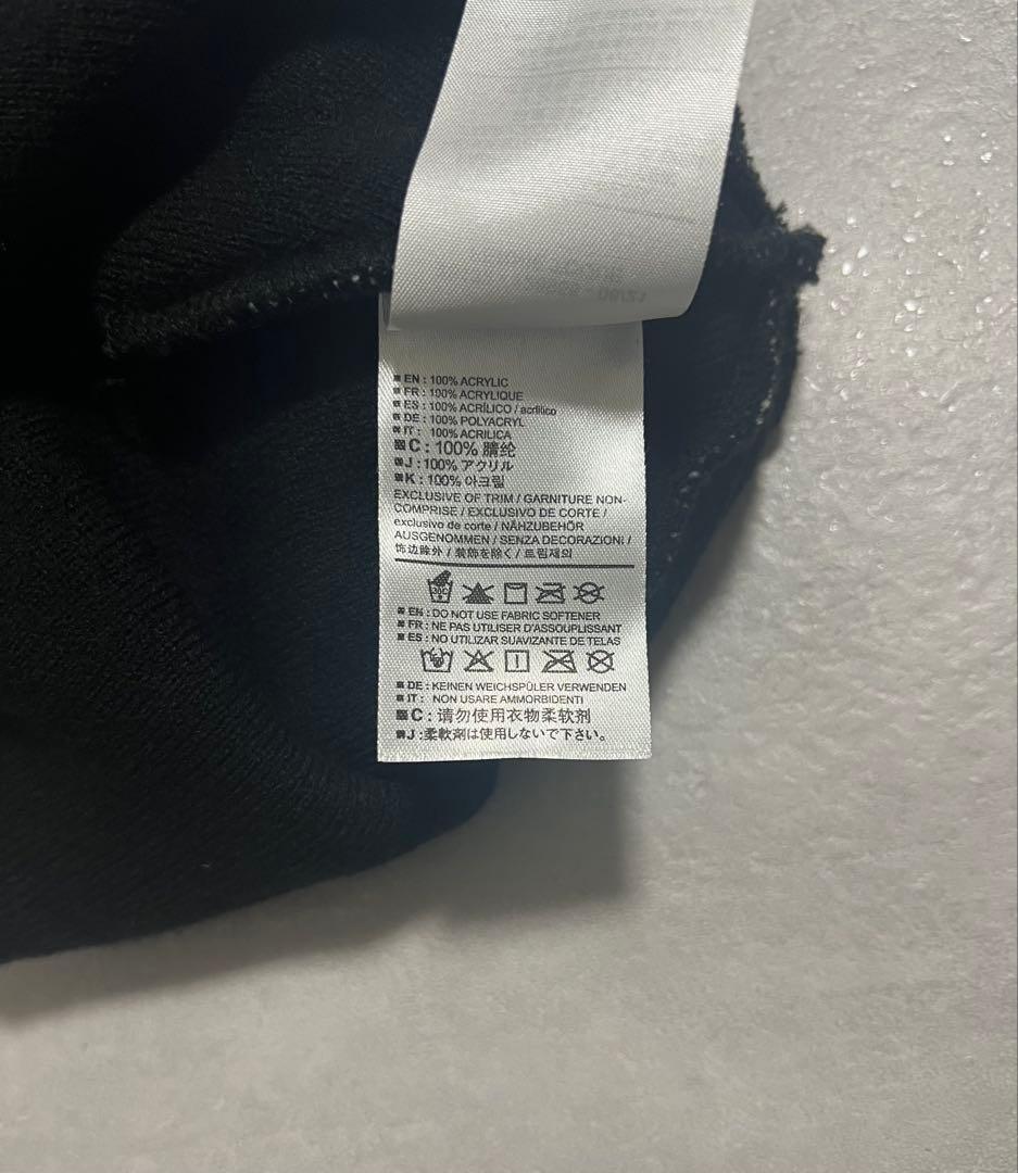 廃盤品 アークテリクス　ビーニー　FERNIE TOQUE 極美品