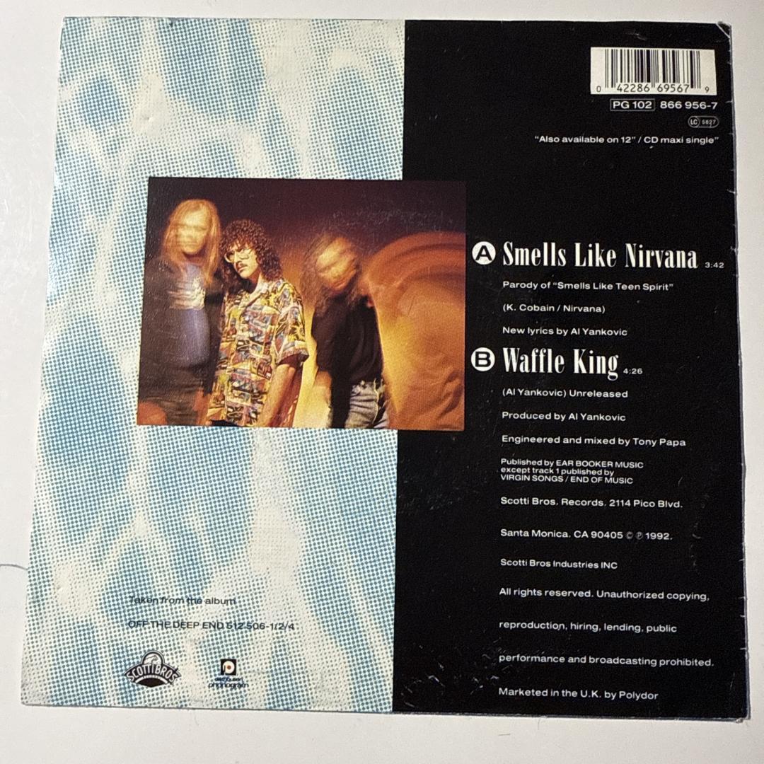 Nirvana - Smells Like Teen Spiritのカヴァー珍盤