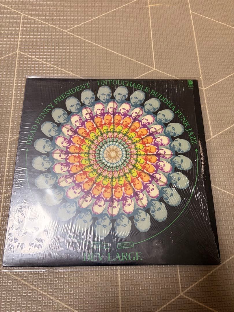 【極上D.L2枚セット】DEV LARGE / bird 12inch