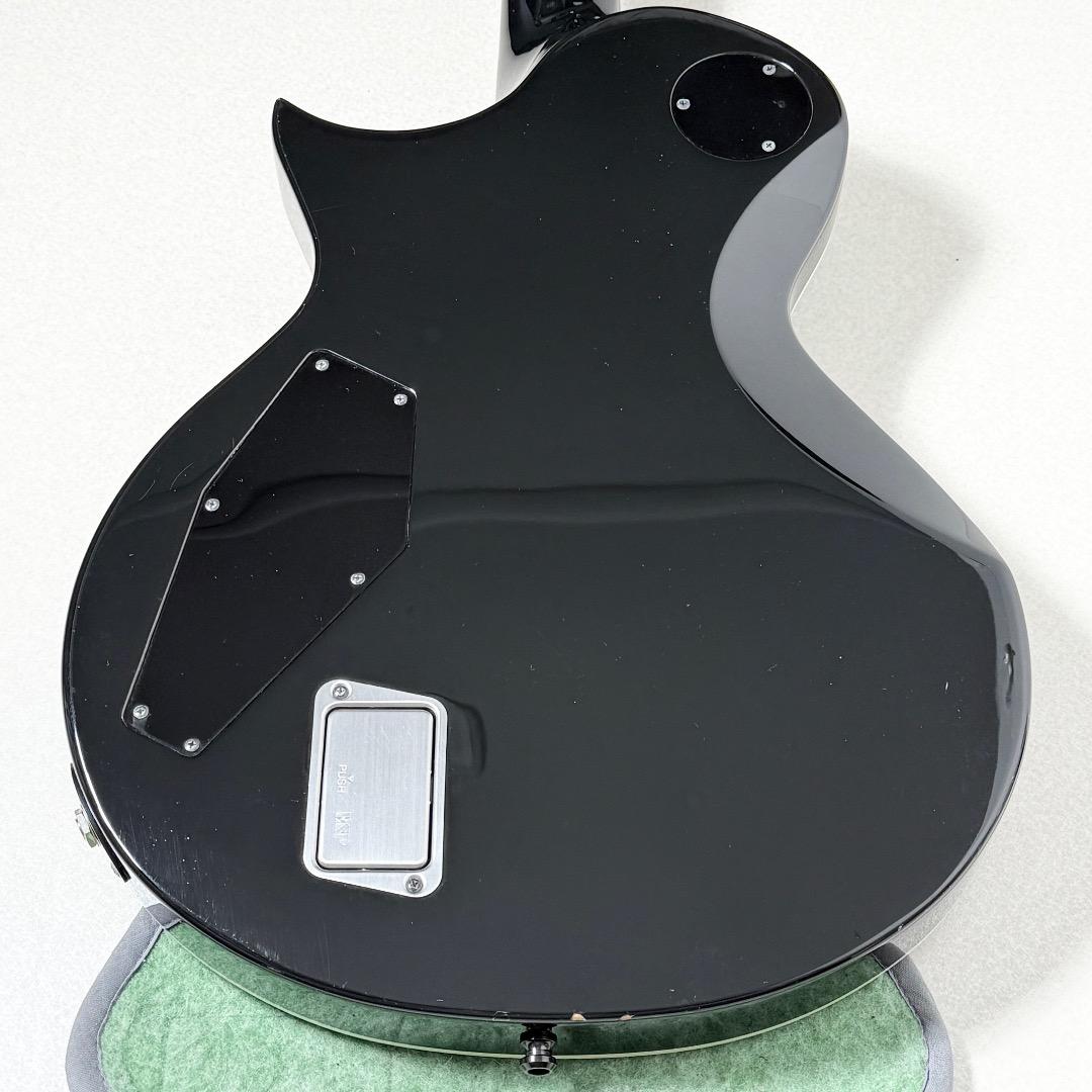 ESP E-Ⅱ EC EMGアクティブ 日本製 ESPソフトケース付