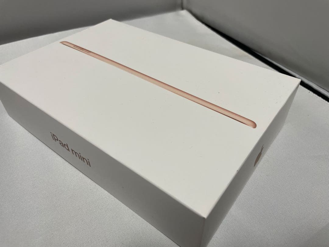 iPad mini 第5世代　wi-fiタイプ　64GB 箱付き