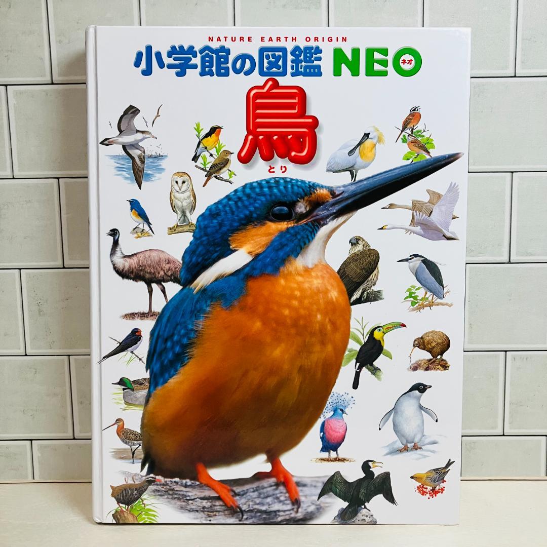 【定番の図鑑】小学館の図鑑NEO 10冊セット