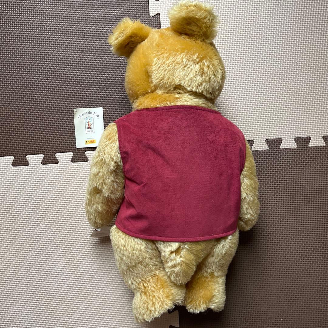 コスモス❣️