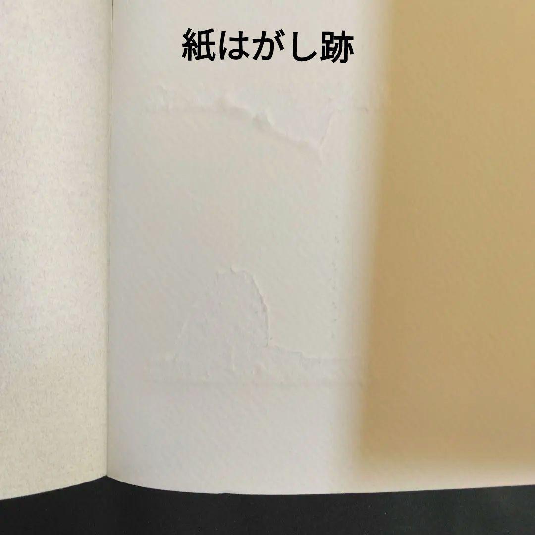 絶版 除籍本二冊組 有元利夫全作品 1973-1984 + 有元利夫 女神たち
