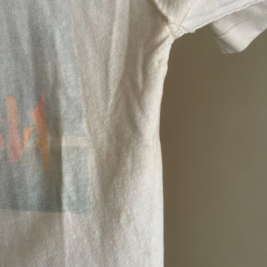 VANS USA 80's Tシャツ　L NATIVEカリフォルニア　丸胴