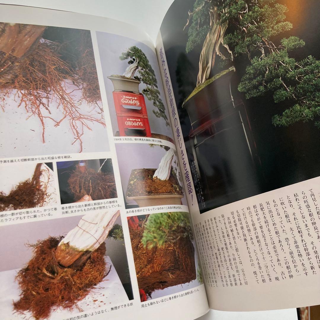 月刊近代盆栽別冊　現代盆栽技術の神髄　木村正彦の世界PART2