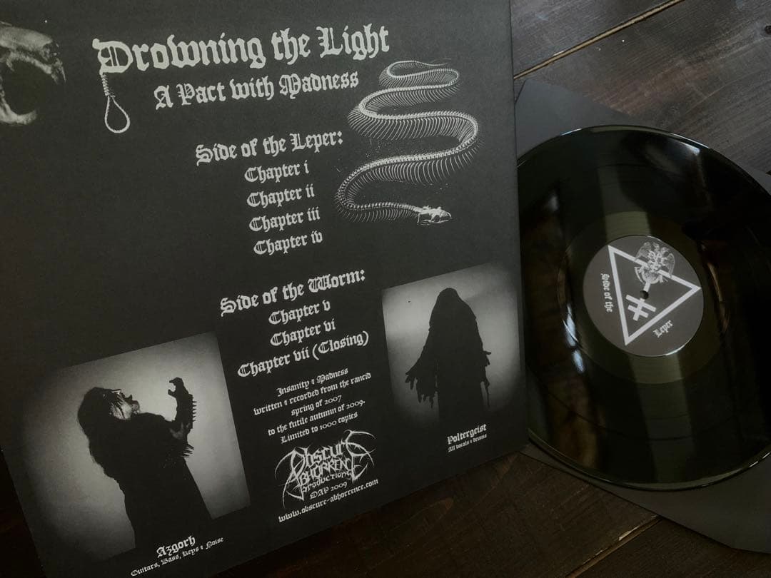 洋楽 DROWNING THE LIGHT - A Pact with Madness