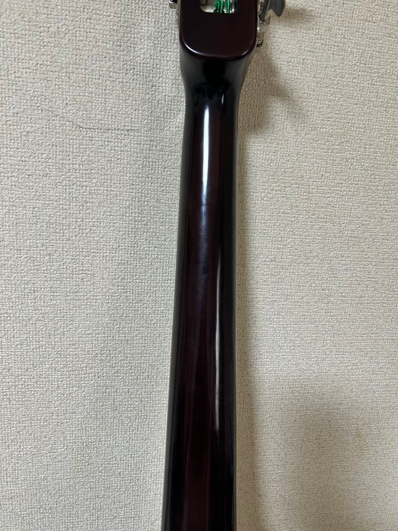 ランドスケープ swb-std ケース付き