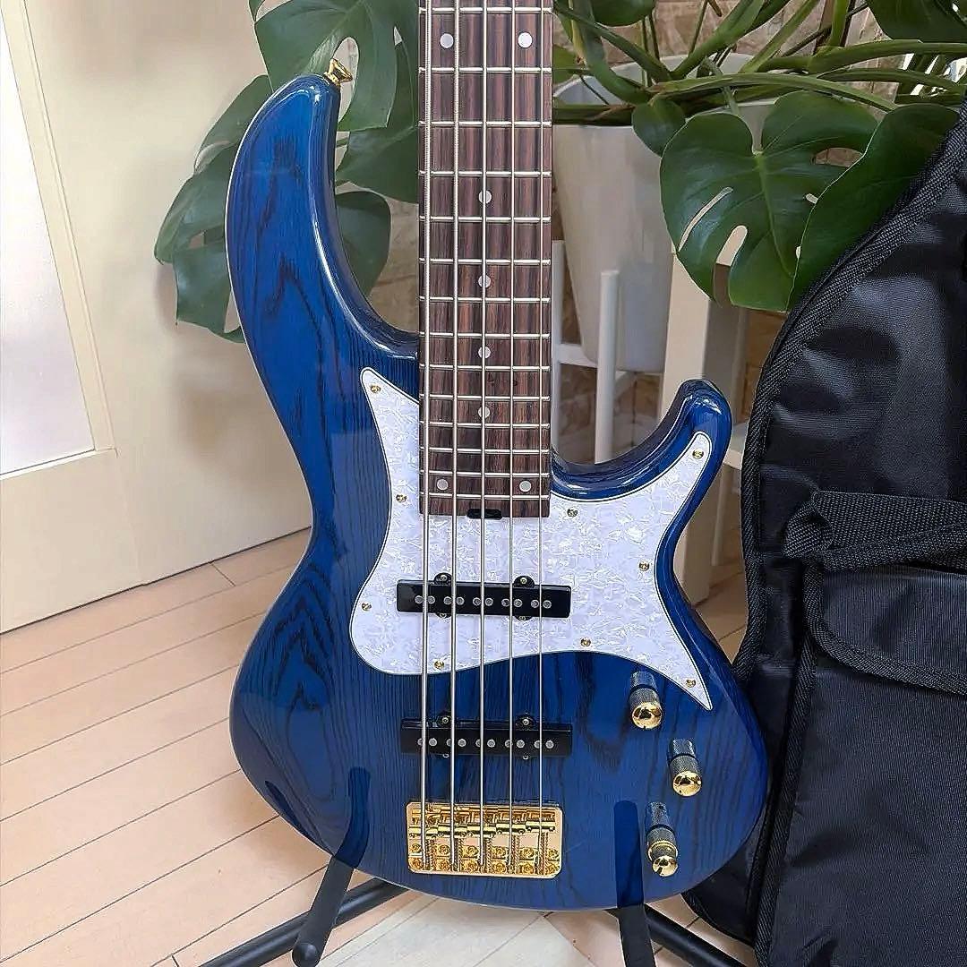 ❤️AriaProII RSB-42AR 5弦ベース美品 チューナー ストラップ