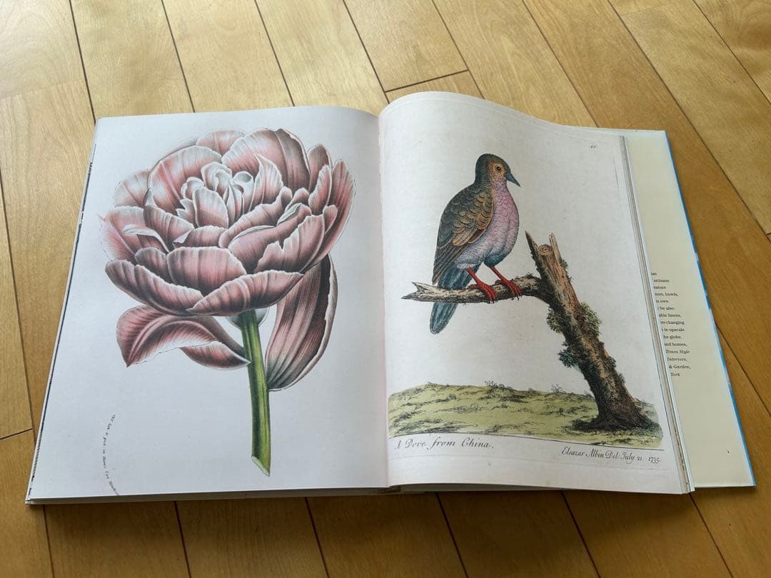 John Derian アートブック　洋書