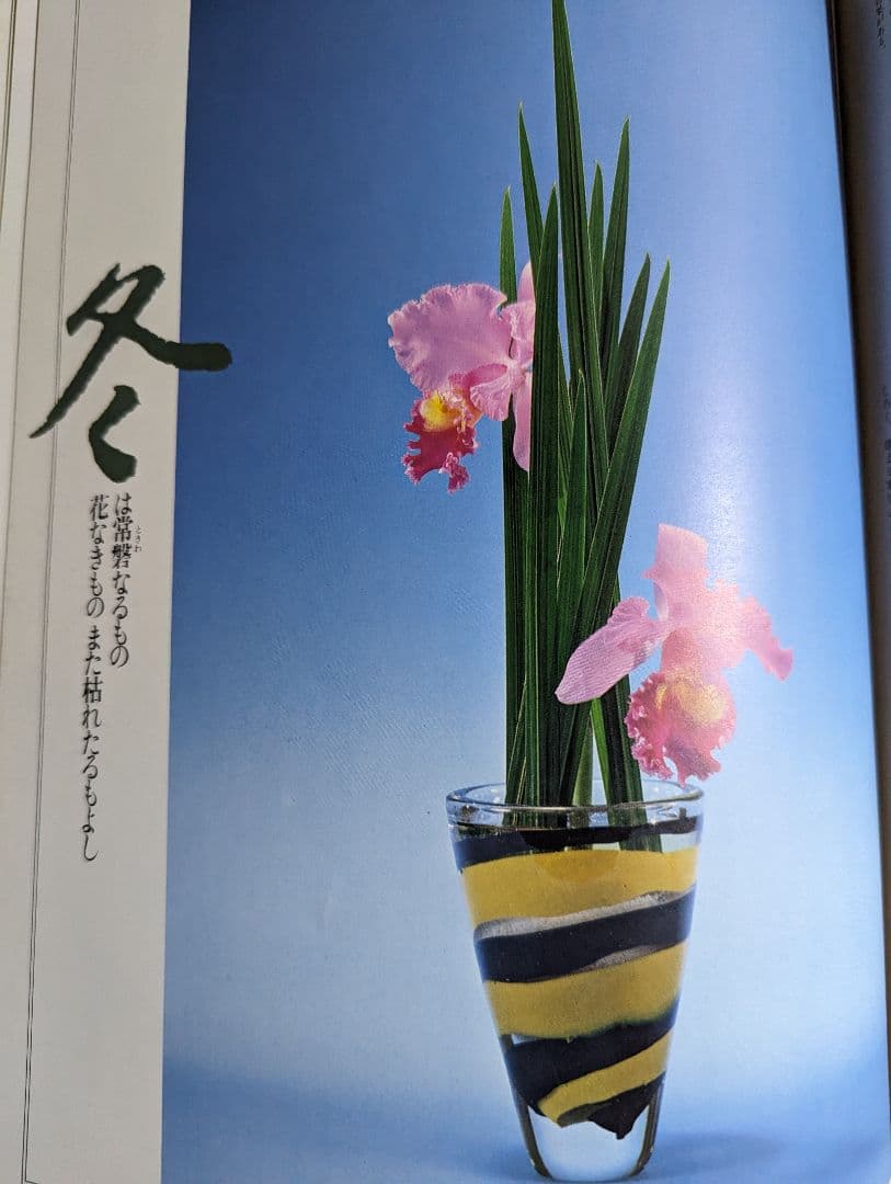 【レア】　四季にいける二一〇の秘訣