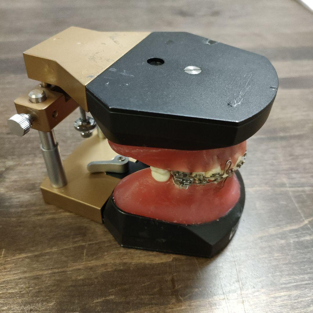 YDM製タイポドント咬合器