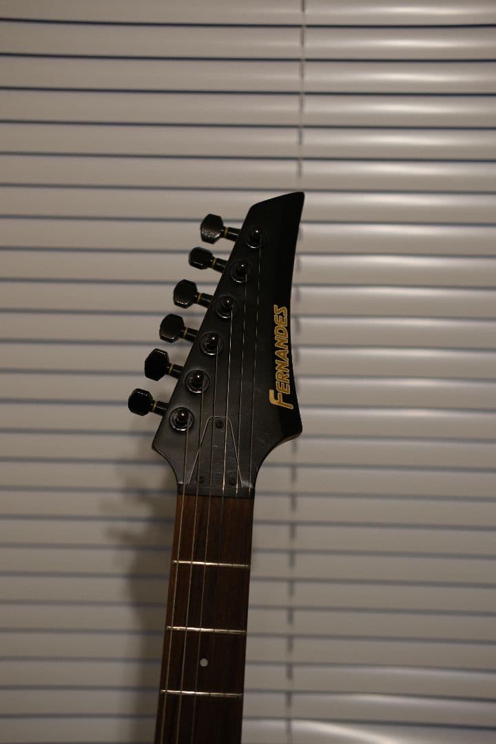 エレキギター 　Fernandes FGZ