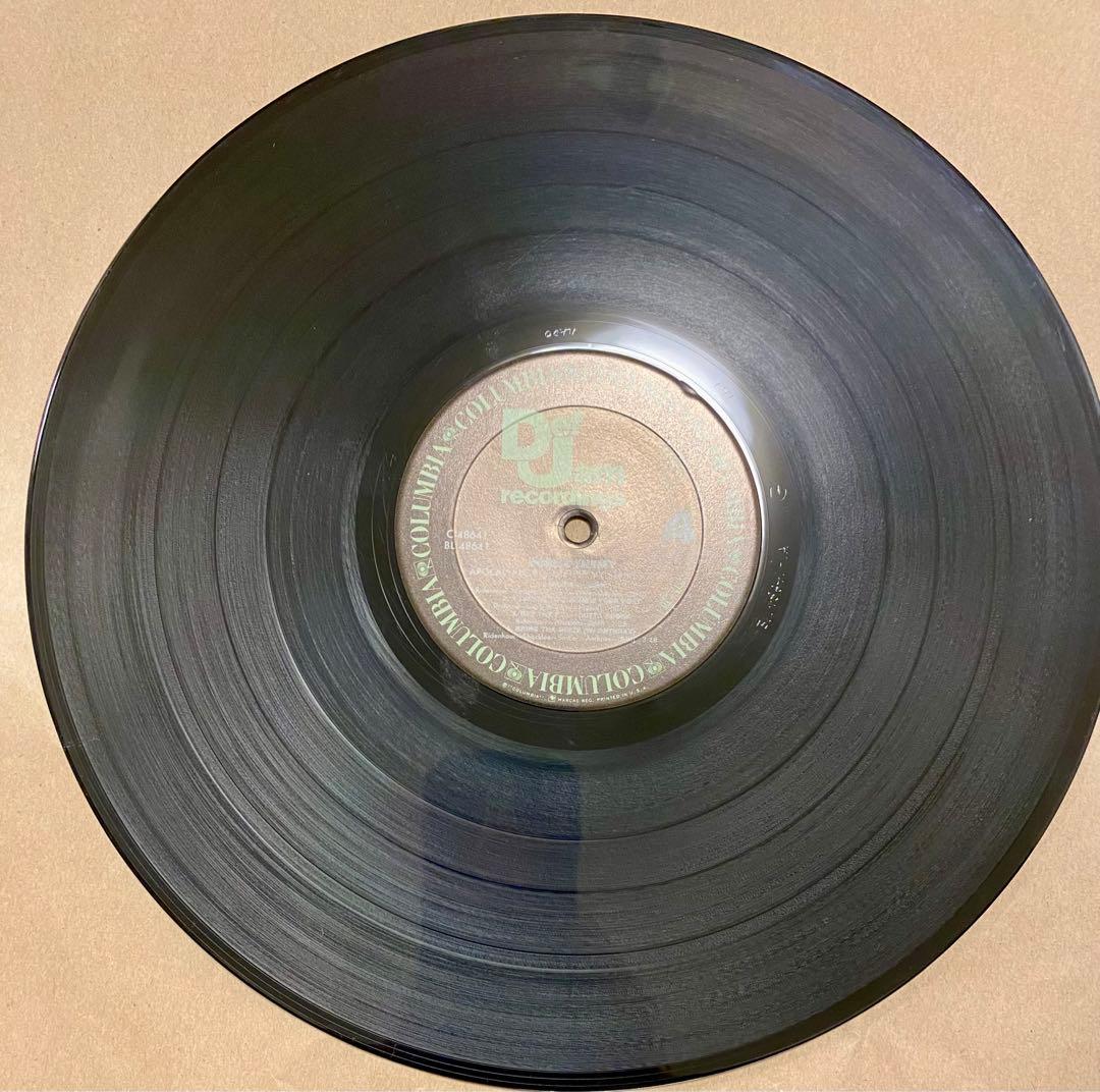 PUBLIC ENEMY APOCALYPSE 91 レコード