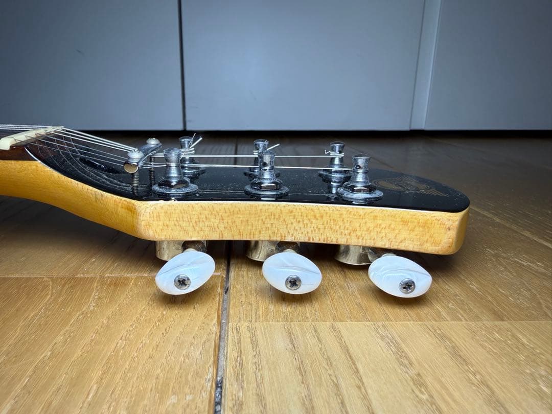 ピグノーズ 楽器 アンプ内蔵ミニギター　Pignose