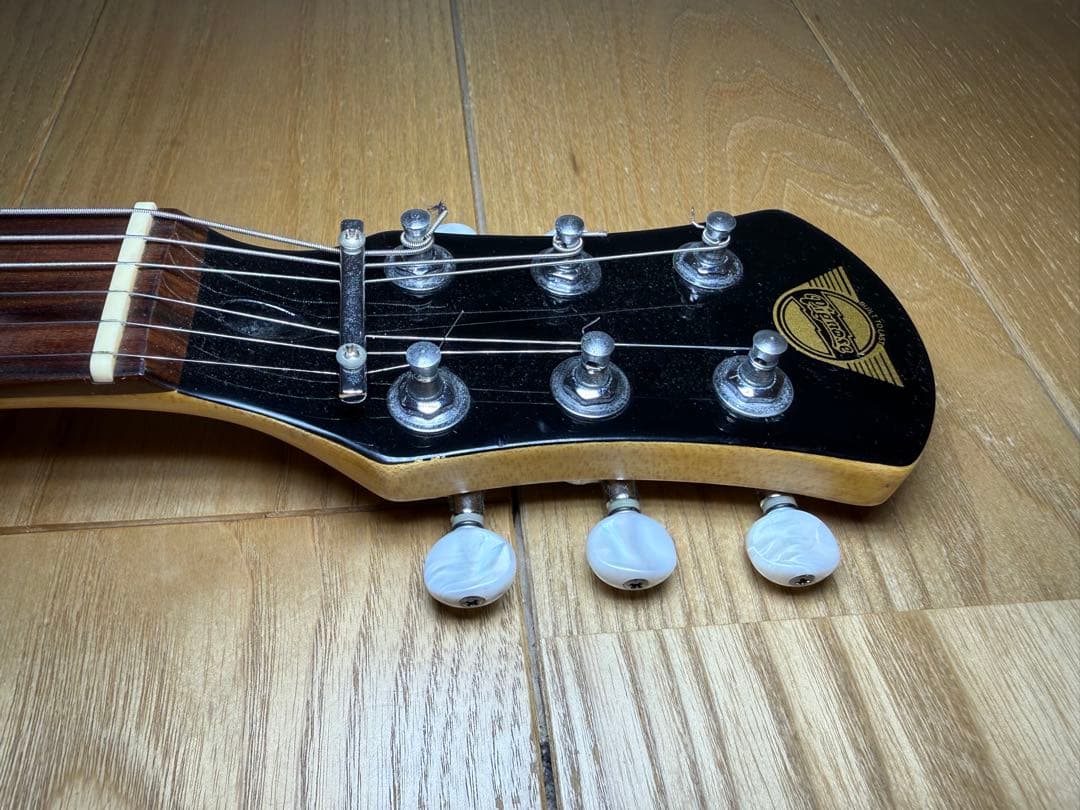 ピグノーズ 楽器 アンプ内蔵ミニギター　Pignose