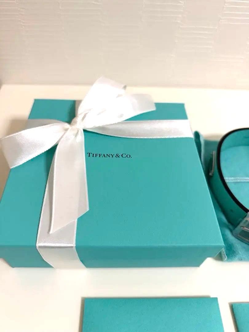 Tiffany & Co. ティファニーブルー首輪