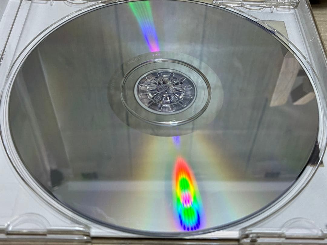 ZORN 「生活日和」