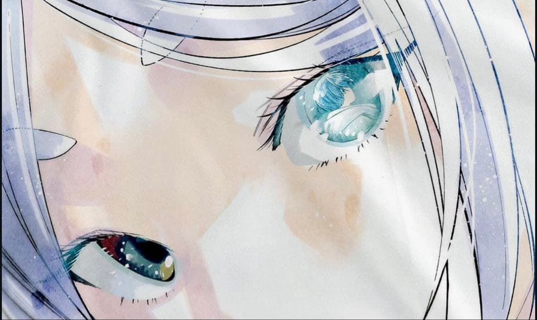 希少 葬送のフリーレン アニメXL ヴィンテージ tシャツ 白