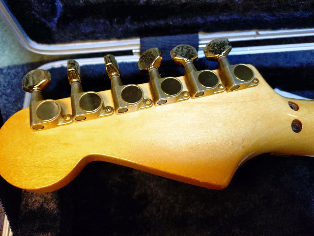 Fernandes ギター