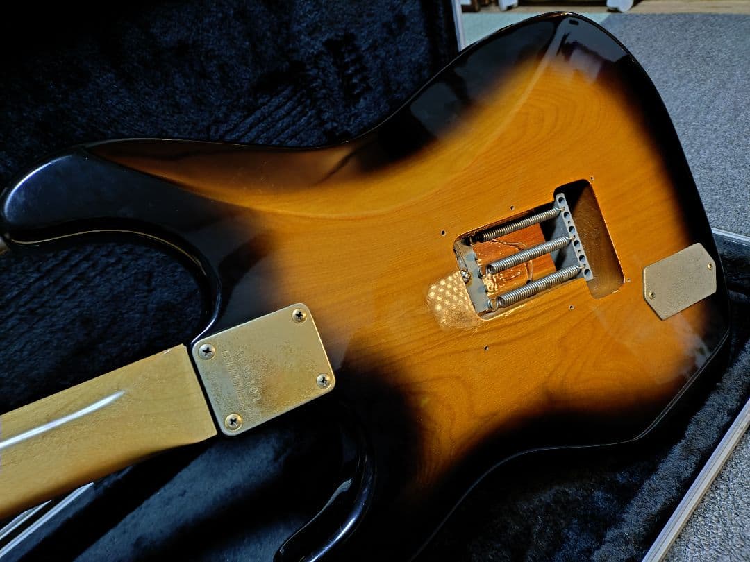 Fernandes ギター