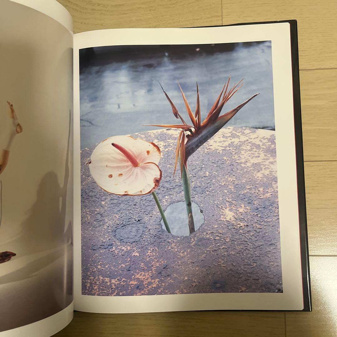荒木経惟　写真集