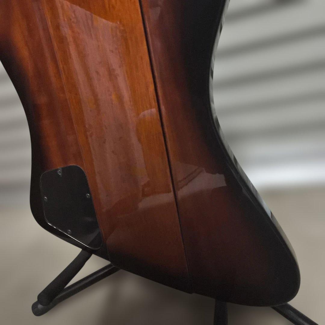 Epiphone サンダーバード エレキベース Ziggy