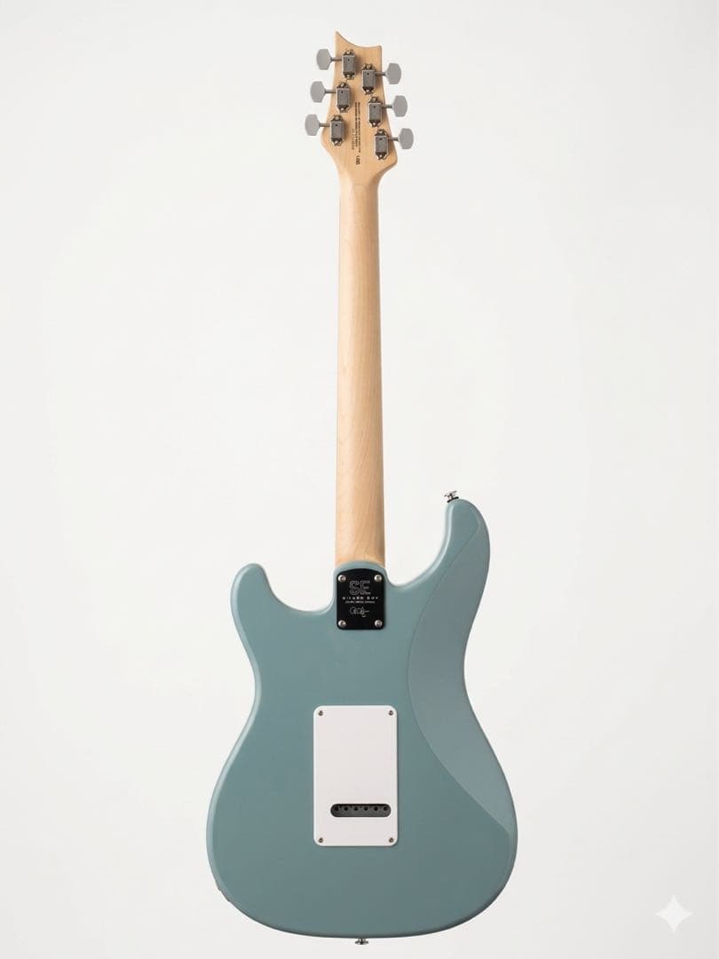 【廃盤希少色】PRS SE Silver Sky / Stone Blue