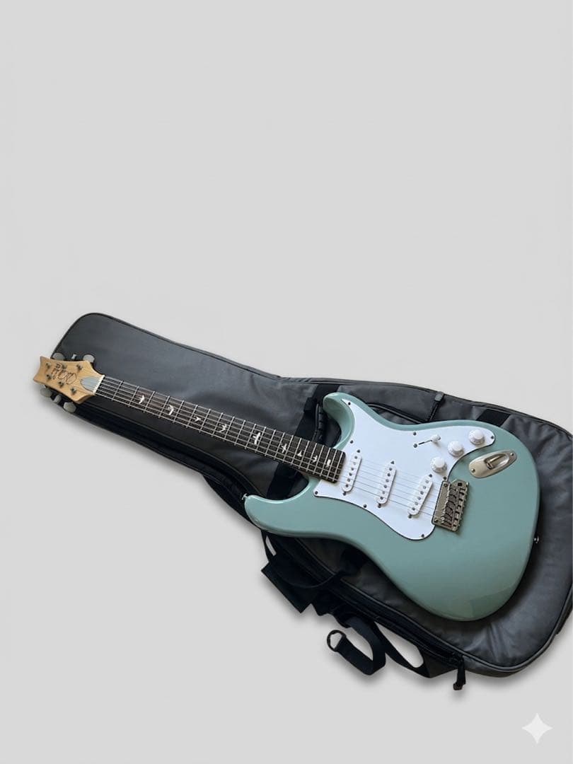 【廃盤希少色】PRS SE Silver Sky / Stone Blue
