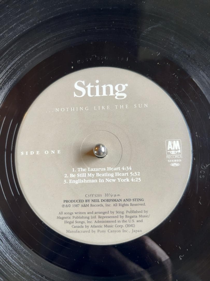 Sting Nothing Like The Sun レコード