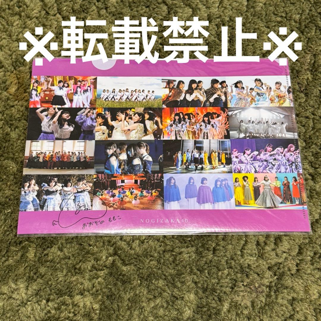 乃木坂46 直筆サイン入りクリアファイル　大園桃子