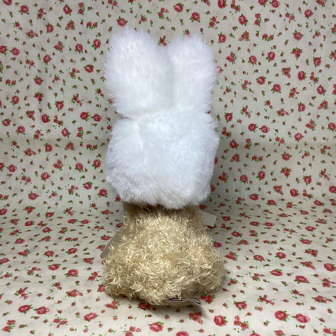【未使用】はしのくるみ　アフタヌーンティー　テディベア　限定品　レア　2点セット