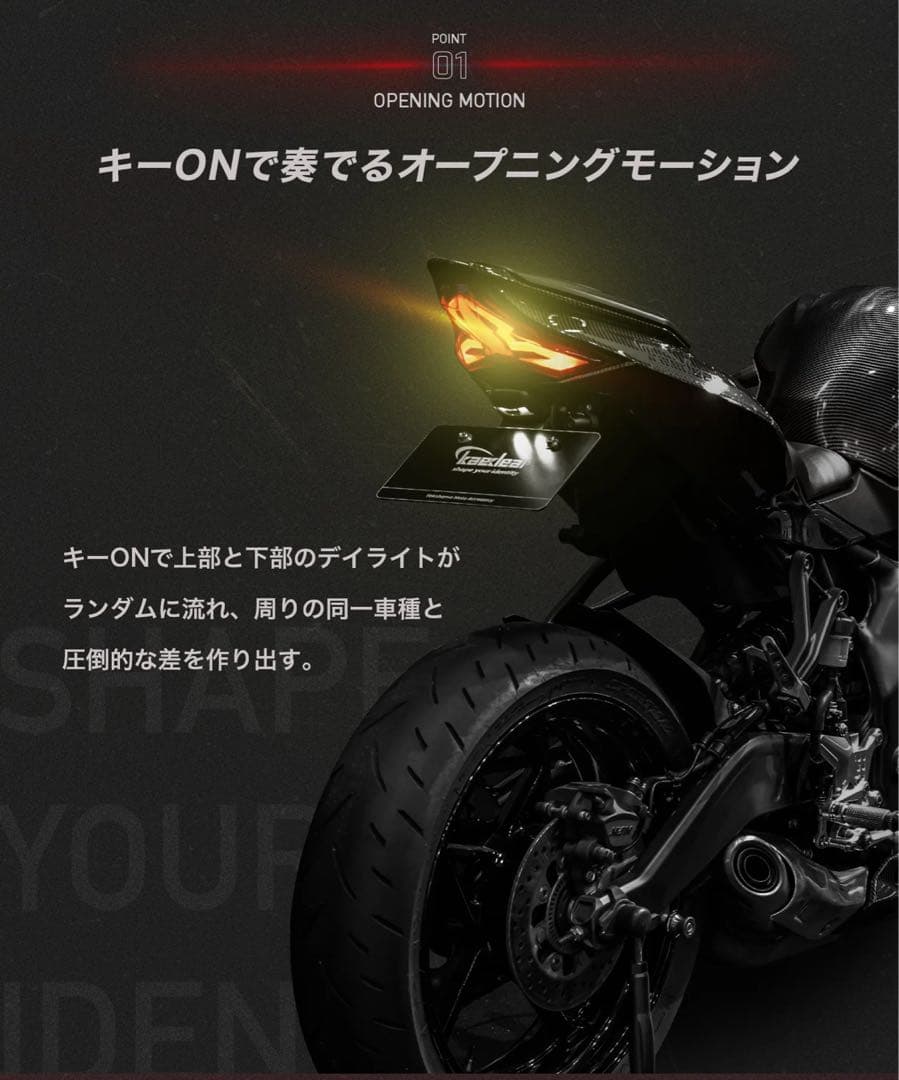 ZX25R テールランプ