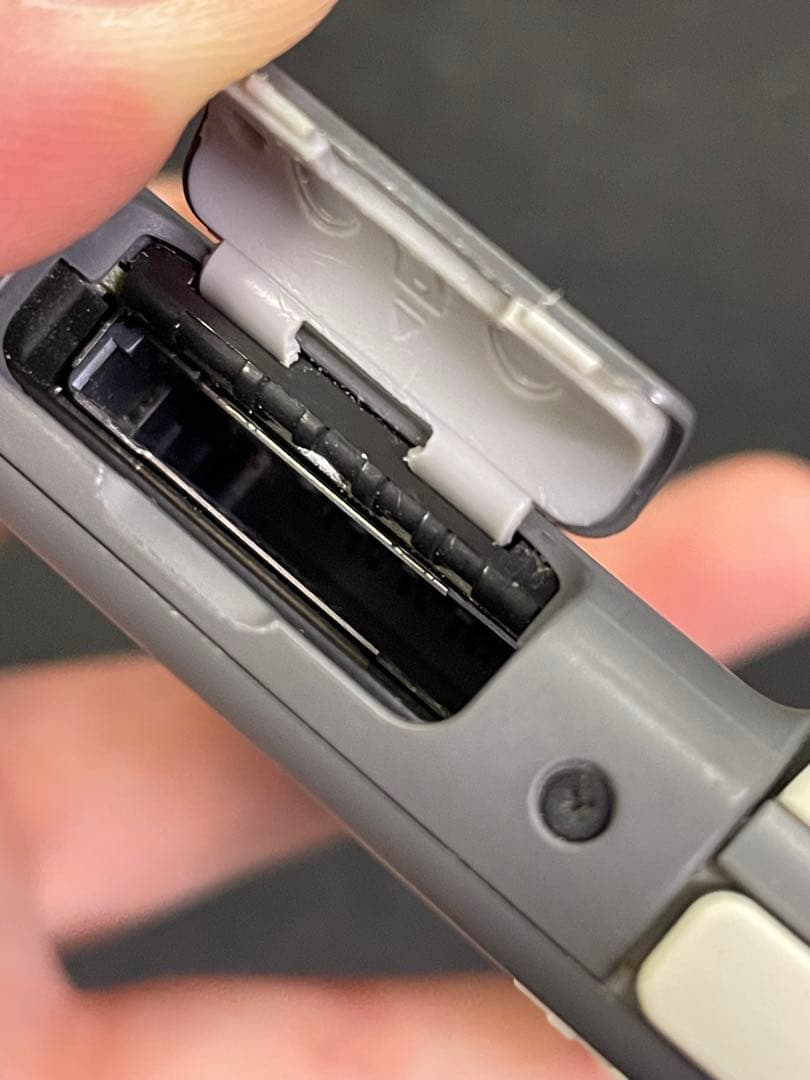 Nintendo Switch Lite 本体 ソフトカバー + ソフト付き
