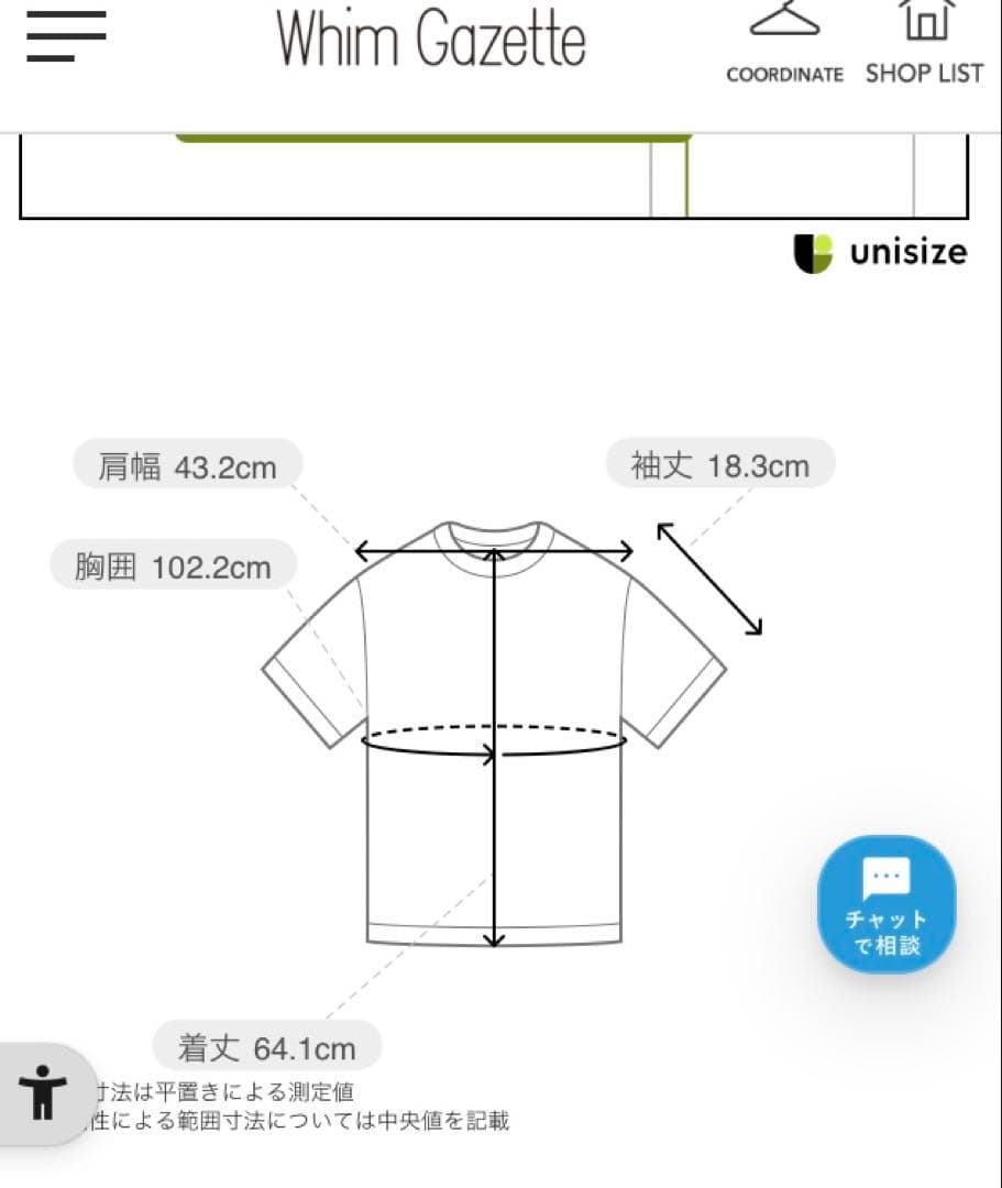 完売品⭐️新品、未使用、タグ付ウィムガゼットGAZETTEロゴTシャツ