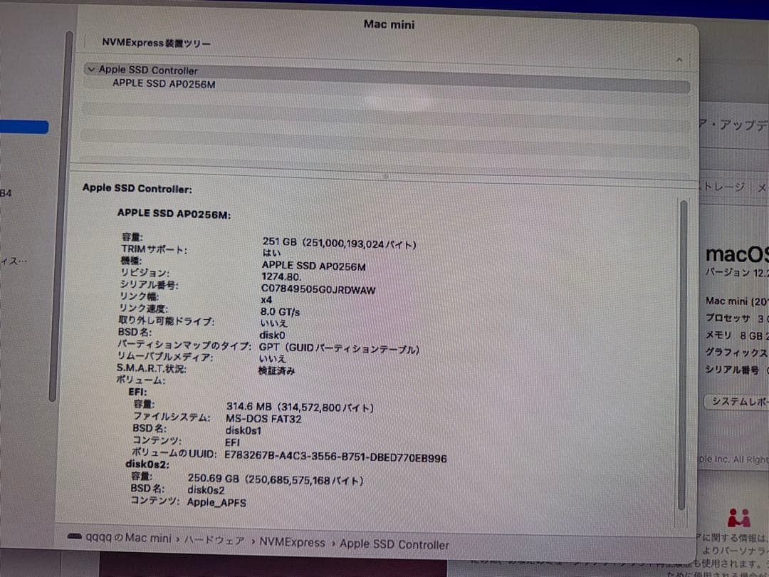Macデスクトップ Mac mini 2018 Intel 8GB/SSD256GB