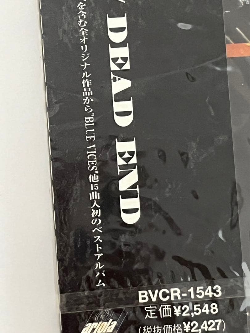 デッドエンド　dead end オールインワン　All in one ベスト