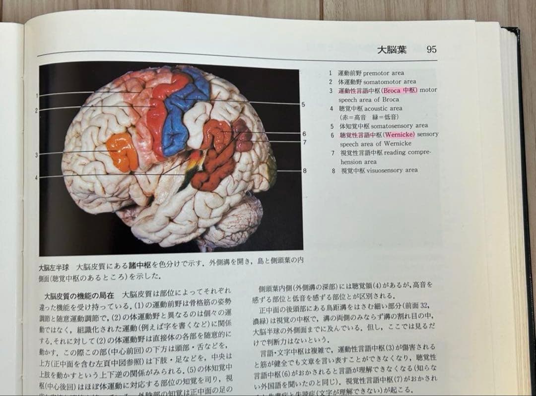 解剖学カラーアトラス　第2版　医学書　解剖学書