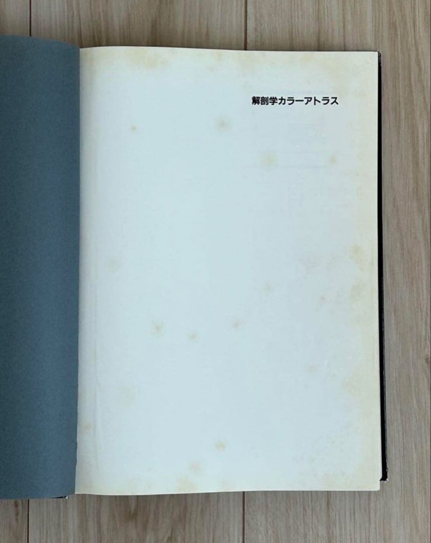 解剖学カラーアトラス　第2版　医学書　解剖学書